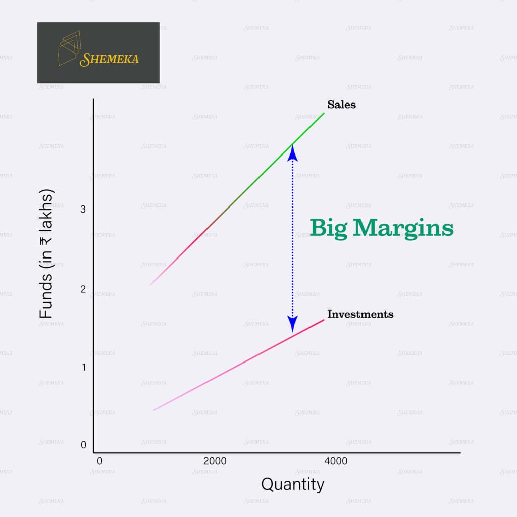 Shemeka Growth Graph – High Sales, Low Investment, Big Margins Shemeka graph showing sales and investment margins.
