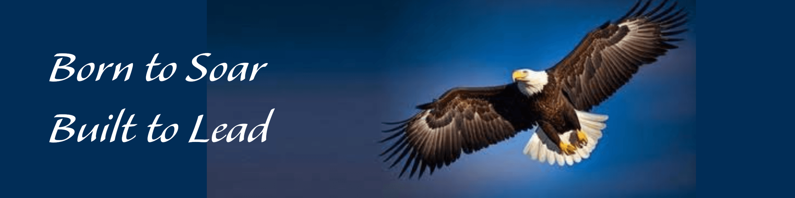 Shemeka- Born to Soar, Built to Lead