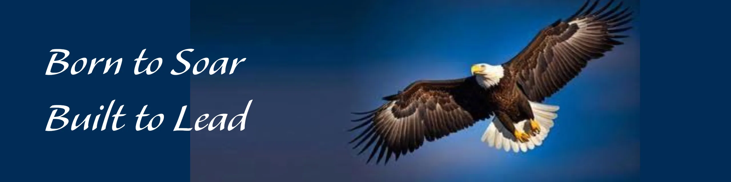 Shemeka- Born to Soar, Built to Lead